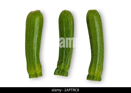 Zucchini de bébé vert isolé sur fond de studio blanc Banque D'Images