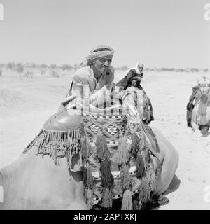 Les Bédouins avec leurs dromadaires sadellés. Rapport /Série: Israël 1960-1965: Bedouins In Beershewa (Beer Sheva). Banque D'Images