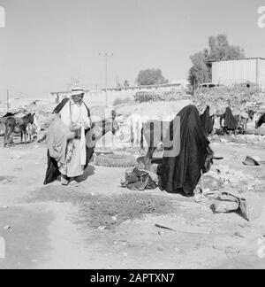 Bédouins avec ânes. Rapport /Série: Israël 1960-1965: Bedouins In Beershewa (Beer Sheva). Banque D'Images