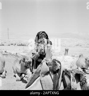 Femme bédouine au milieu d'un troupeau de dromadaires. Rapport /Série: Israël 1960-1965: Bedouins In Beershewa (Beer Sheva). Banque D'Images