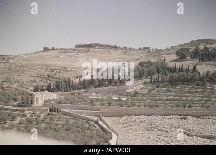 Moyen-Orient 1950-1955 : Jérusalem Jérusalem. Vue sur le Mont d'Olives avec quelques bâtiments d'église Date: 1950 lieu: Israël, Jérusalem, Jordanie, Olives Mountain mots clés: Collines, bâtiments d'église, murs, panoramas Banque D'Images