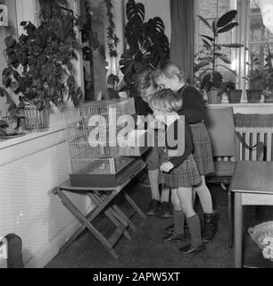 Jour dans la vie de la famille Svendsen enfants voir la cage à oiseaux dans le salon Date: Mars 1954 lieu: Danemark mots-clés: Vie quotidienne, familles, homitude, salon, articles ménagers, intérieurs, garçons, enfants, filles, meubles, maison, cages d'oiseaux, maisons Nom personnel: Svendsen, Banque D'Images