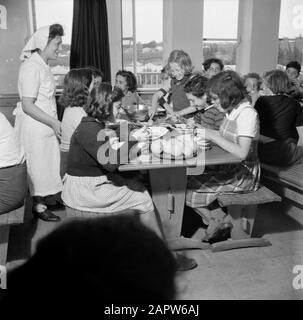 Israël 1948-1949: Village des enfants Onim enfants du village des enfants Onim au repas dans la salle à manger Date: 1948 lieu: Israël mots clés: Mangeurs, jeunes, villages d'enfants, repas Banque D'Images