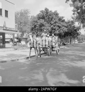 Israël: Naharya (Nahariya) Coachman et les touristes font un tour en calèche Date: Non daté lieu: Israël, Nahariya mots clés: Calèches, chevaux, calèches, tourisme, routes : Poll, Willem van de, Banque D'Images