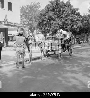 Israël: Naharya (Nahariya) Coachman et les touristes font un tour en calèche Date: Non daté lieu: Israël, Nahariya mots clés: Calèches, chevaux, calèches, tourisme, routes : Poll, Willem van de, Banque D'Images