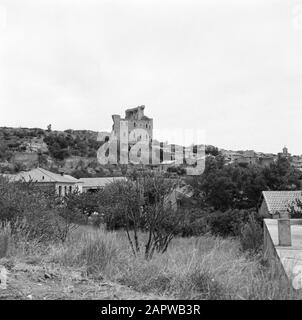 Régions viticoles - Châteauneuf-du-Pape Paysage autour de Châteauneuf-du-Pape, avec cyprès, oliviers et sur la colline les vestiges d'un château Date: Non dédrée lieu: Châteauneuf-du-Pape, France mots clés: Villages, châteaux, paysages, viticulture Banque D'Images