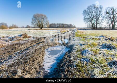 Route et champs de campagne congelés, givrage sur l'herbe, les arbres et le ciel bleu, jour ensoleillé d'hiver Banque D'Images