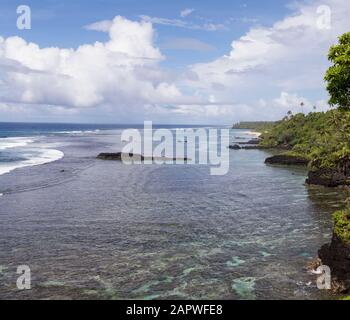 Vue en grand angle sur le récif en bordure et le rivage avec palmiers Banque D'Images