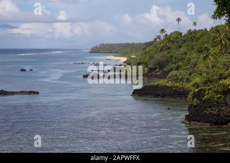 Vue en grand angle sur le récif en bordure et le rivage avec palmiers Banque D'Images