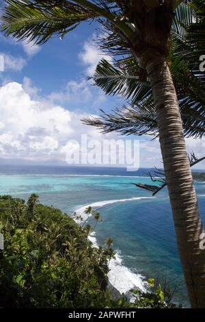 Vue en grand angle sur le récif en bordure et le rivage avec palmiers Banque D'Images