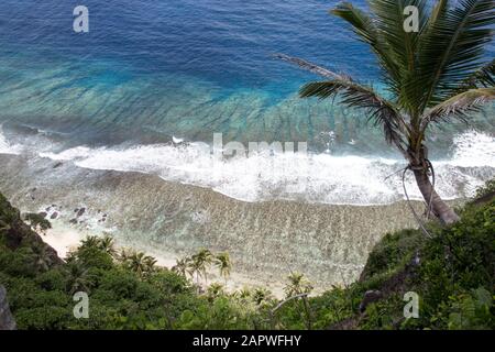 Vue en grand angle sur le récif en bordure et le rivage avec palmiers Banque D'Images