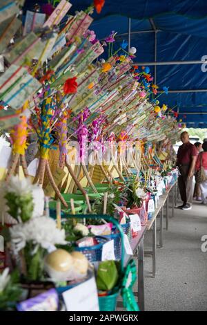 Cadeaux et offrandes avec nourriture et argent aux moines bouddhistes, Chiang Mai Banque D'Images