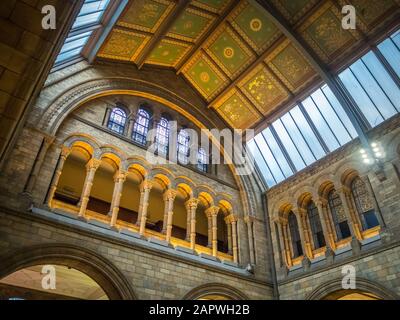 Londres, ROYAUME-UNI - 06 octobre 2017 : Londres, Royaume-Uni - 7 OCTOBRE 2017 : National History Museum, est l'un des musées les plus populaires pour les familles de Londres Banque D'Images