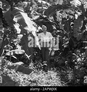 Voyage au Suriname et aux Antilles néerlandaises Mme Joy Boogh dans l'ancienne Jodensavanna à la rivière Suriname Date: 1947 lieu: Jodensavanne, Suriname mots clés: Femmes Nom personnel: Boogh, Joy Banque D'Images