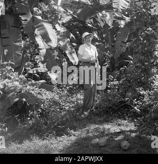 Voyage au Suriname et aux Antilles néerlandaises Mme Joy Boogh dans l'ancienne Jodensavanna à la rivière Suriname Date: 1947 lieu: Jodensavanne, Suriname mots clés: Femmes Nom personnel: Boogh, Joy Banque D'Images