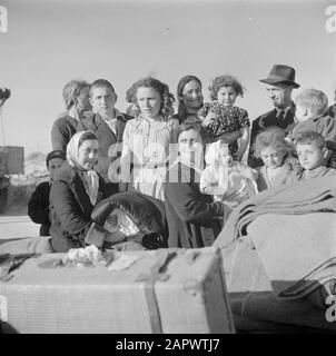 Israël 1948-1949 Nouvelles arrivées (pétrole) incluant les enfants dans le camp de transit St. Lucas à Haïfa lors du déchargement d'un camion avec des bagages Date : 1948 lieu : Haifa, Israël mots clés : bagages, émigrants, camps, enfants Nom de l'institution : Saint Lucas Banque D'Images