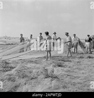 Israël 1948-1949:Haïfa les nouveaux arrivants (pétrole) seront réformés aux pêcheurs. Pêcheurs de la baie d'Haïfa engagés dans des filets Date: 1948 lieu: Haïfa, Israël mots clés: Immigrants, recyclage, filets de pêche, pêcheurs Banque D'Images