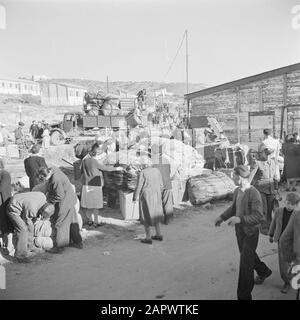 Israël 1948-1949 Nouvelles arrivées (pétrole) de pays derrière le rideau de fer dans le camp de transit St. Lucas à Haïfa lors de l'inspection de leurs bagages Date: 1948 lieu: Haïfa, Israël mots clés: Bagages, casernes, émigrants, camps, camions Nom de l'institution: Saint Lucas Banque D'Images
