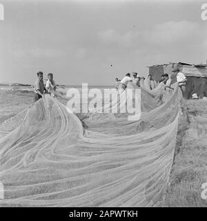 Israël 1948-1949:Haïfa les nouveaux arrivants (pétrole) seront réformés aux pêcheurs. Pêcheurs de la baie d'Haïfa engagés dans des filets Date: 1948 lieu: Haïfa, Israël mots clés: Immigrants, recyclage, filets de pêche, pêche, pêcheurs Banque D'Images