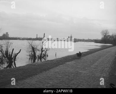 Terre inondée près de Meppel Date: 22 janvier 1959 lieu: Meppel mots clés: LANDERIJS, inondée Banque D'Images