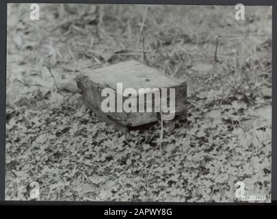 Nettoyage des mines terrestres près de Hoek van Holland. Une mine de bois qui ne peut pas être découverte par des détecteurs de métaux Date: Août 1945 lieu: Hoek van Holland mots clés: Mines terrestres, seconde Guerre mondiale, reconstruction Banque D'Images