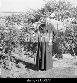 Moyen-Orient 1950-1955 : Egypte Portrait du Père Rafael Morcos Hanna dans son jardin Date: 1950 lieu: Alexandrie, Egypte mots clés: Aidants spirituels Nom personnel: Père Rafael Morcos Hanna O.F.M. Banque D'Images