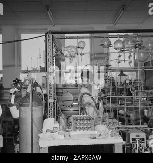 Rehovot. Institut Weizmann: L'intérieur d'un des bâtiments du site de l'institut avec un laboratoire au travail parmi tous les types d'équipements Date: 1 janvier 1963 lieu: Israël, Rehogot mots clés: Chimie, laboratoires, enseignement scientifique, recherche scientifique Nom personnel: Weizmann, Chaim Banque D'Images