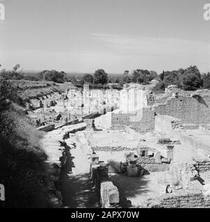 Régions viticoles - Saint-Rémy-de-Provence Vestiges de la ville romaine de Glanum, juste au sud de Saint-Rémy-de-Provence Date: Non dédrée lieu: France, Saint-Rémy-de-Provence mots clés: Archéologie , fouilles, villes Banque D'Images