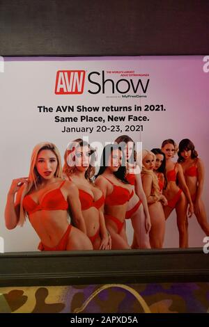 Las Vegas, NV, États-Unis. 24 janvier 2020. Atmosphère Avn Adult Entertainment Expo Au Hard Rock Hotel Las Vegas, Nevada, Le 24 Janvier 2020. Crédit: Damas Carter/Media Punch/Alay Live News Banque D'Images