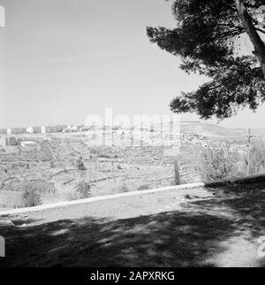 Israël 1964-1965: Jérusalem (Jérusalem), vue Herzberg à partir de l'ombre d'un arbre sur la montagne Annotation: Herzlberg, également appelé Mont du Souvenir, est le cimetière national d'Israël, à l'ouest de Jérusalem. La montagne porte le nom de Theodor Herzl, fondateur du sionisme politique moderne. La tombe d'Herzl est située au sommet de la colline Date: 1964 lieu: Herzberg, Israël, Jérusalem mots clés: Panoramas, ombres Banque D'Images