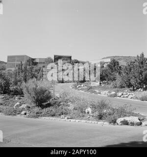 Israël 1964-1965: Haifa, Technion Signposts sur le site de la Technion Annotation: La Technion, fondée en 1924 à Haïfa dans les montagnes du Carmel, est une université israélienne spécialisée dans l'enseignement et la recherche en sciences technologiques et exactes Date: 1964 lieu: Carmel, Haïfa, Israël mots clés: Architecture, bâtiments, panoramas, campus universitaire Nom de l'établissement: Technion University Banque D'Images