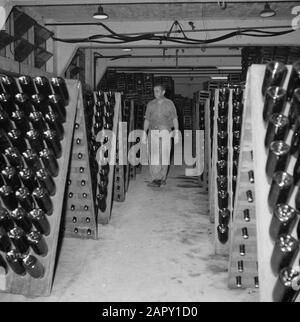 Wine Company Carmel Mizrachi Wineries À Rischon Le Zion. La cave à champagne avec des étagères pleines de bouteilles Date: 1 janvier 1960 lieu: Israël, Rischon le Zion mots clés: Travailleurs, champagne, bouteilles, industrie, radar, viticulture Banque D'Images