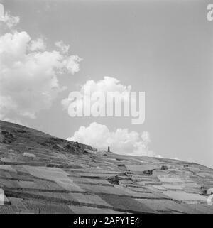 Rhin navigation, rapport de tugboat Damco 9: West Germany Vineyards on the Rüdesheimer Berg with the Niederwalddenkmal Date: 1 april 1955 lieu: Allemagne, Rüdesheim, West Germany mots clés: Monuments commémoratifs, collines, statues, viticulture Banque D'Images