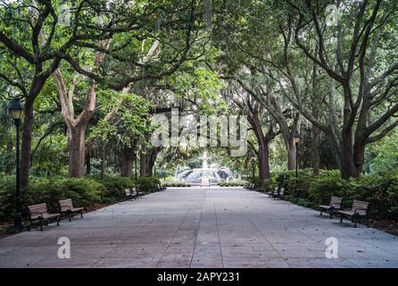 Forsyth Park Fountain Avec De Grands Arbres Et Des Bancs De Parc À Savannah, Géorgie, États-Unis Banque D'Images