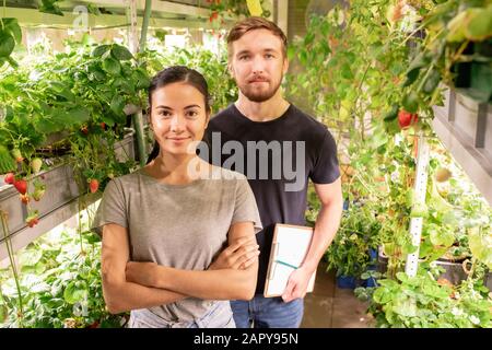 Deux jeunes agriculteurs ou jardiniers contemporains travaillant en serre Banque D'Images