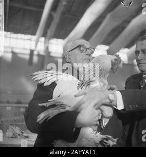 Exposition Avicultura ouverte à Houtrusthallen à la Haye, maire Kolfschoten avec l'un des poulets envoyés Date: 17 janvier 1964 lieu: La Haye, Zuid-Holland mots clés: Kippen, maires, expositions Nom personnel: Avicultura, Kolfschoten, Hans Nom de l'institution: Wtrushallen Banque D'Images