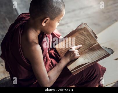 Jeune moine bouddhiste novice lecture et étude au monastère, Myanmar Banque D'Images