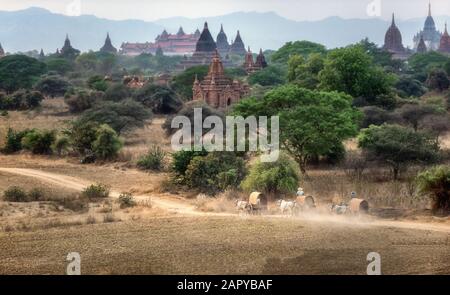 Transport rural birman avec deux bœufs tirant charrette sur piste route poussiéreuse rubrique aux pagodes à Bagan, Myanmar (Birmanie). Banque D'Images