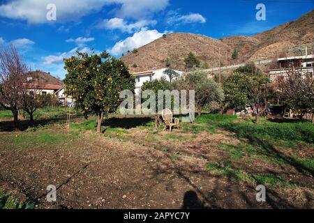 Le jardin dans le village de Kakopetria, Chypre Banque D'Images