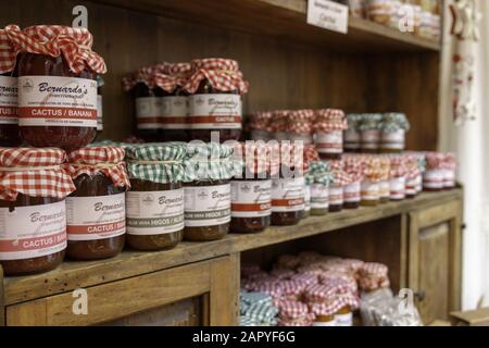 Lanzarote, ESPAGNE - 05 avril 2019: Étagère avec cactus canarien marmelade. Marmelade de cactus canariens produite localement traditionnelle en vente dans une boutique locale. S Banque D'Images