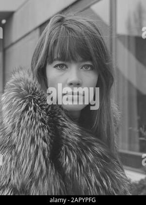 Franse zangeres-actrice Françoise Hardy à Amsterdam 16 décembre 1969; ' Banque D'Images