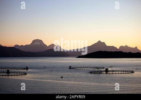 Industrie de la pêche, cage piscicole, île Lofoten, Norvège Banque D'Images