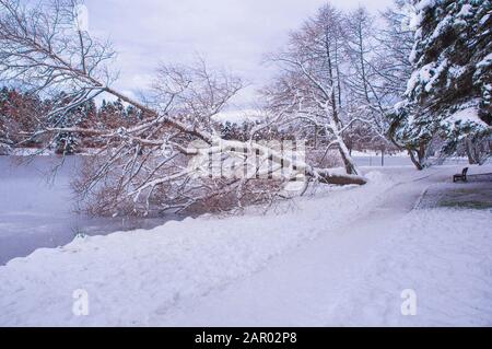 Saison d'hiver et scènes neigeuses du lac Abant et des villages voisins Banque D'Images