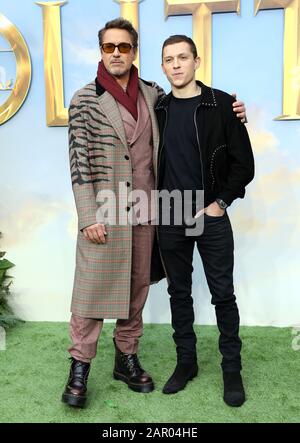 Robert Downey, Jr. (À gauche) Tom Holland lors de la première de Dolittle à Leicester Square, Londres.