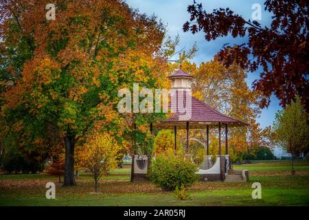 Rotonde et feuilles d'automne changeantes dans le parc Anzac Glen Innes NSW Banque D'Images