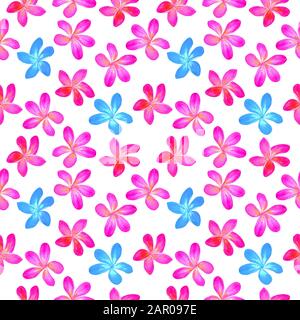 Plumeria rubra fleurs illustration aquarelle, modèle sans couture sur fond blanc Banque D'Images