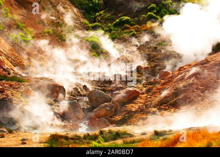 La Vallée Des Geysers Dans La Réserve Naturelle De Kronotsky. Banque D'Images