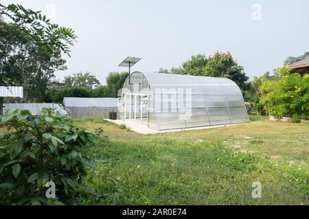 Sécheur solaire à effet de serre pour sécher l'ingrédient alimentaire par la lumière du soleil. Banque D'Images