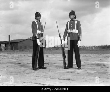 Abdication Reine Wilhelmina/Inauguration Des Préparations De La Reine Juliana. Les 425 nouveaux uniformes de gala pour trois entreprises honoraires des Gardériments Grenadiers (avec la Chapelle militaire royale), Hunters et Fuseliers PrinseSiren (photo) ont été conçus par l'illustrateur-dessinateur F.J.H. .Th.Smits. Les fonds nécessaires (300 000) ont été collectés par des particuliers. Un comité d'achat avec une grande poussée s'est assuré que les nouveaux vêtements étaient prêts à temps. Le 1er septembre 1948, les uniformes ont été admirés au camp de Zeeburg à Amsterdam. Date : 1er Septembre 1948 Lieu : Amsterdam, Noord-Holland Mot-Clé Banque D'Images