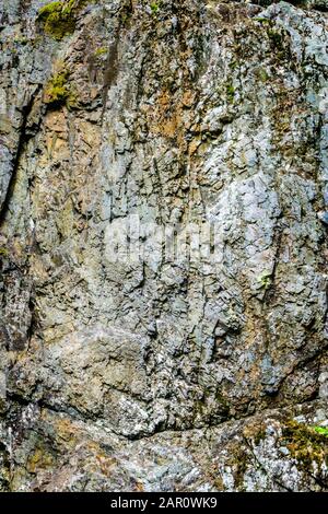 Rivière et mur de roche avec mousse dans le Buchberger Leite, forêt bavaroise, Basse-Bavière Banque D'Images